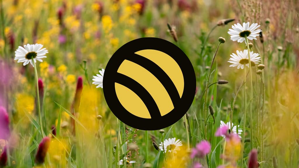 Strategia stakeholder engagement ImmerBunt portfolio creativo